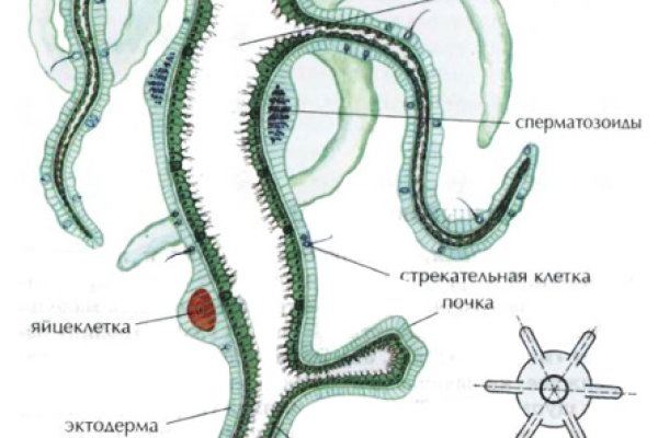 Кракен маркет только через тор