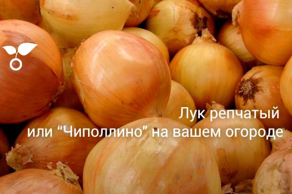 Ссылка кракен не работает