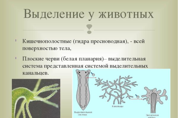 Как зайти в кракен через айфон
