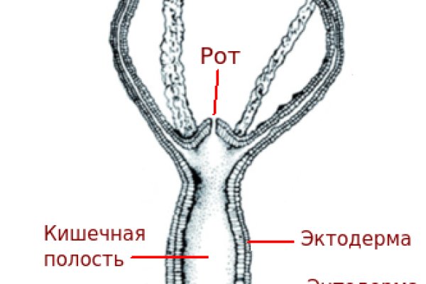 Что такое кракен площадка