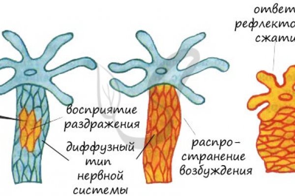Kra40.cc Вход на сайт главная страница