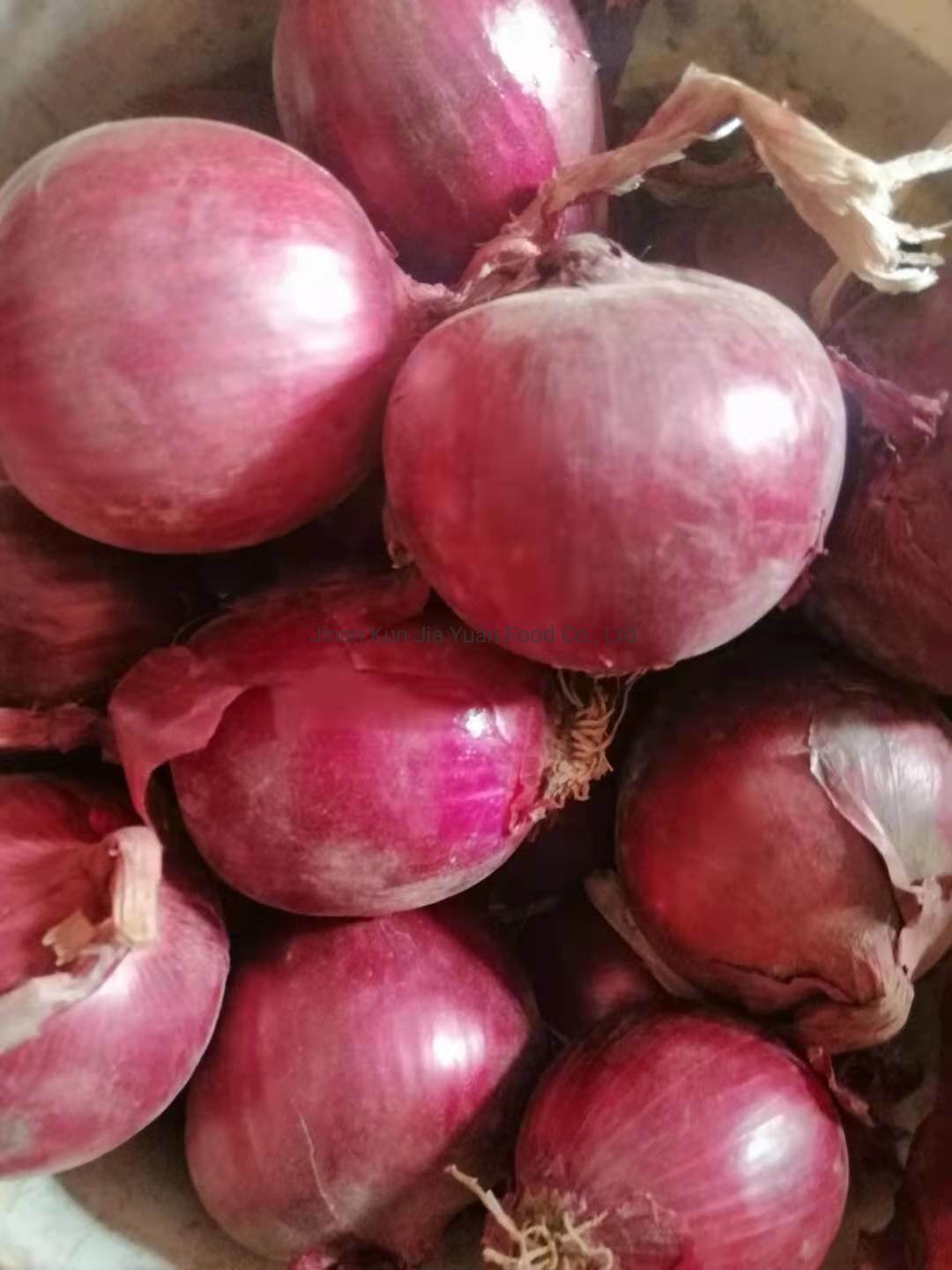 Рабочие ссылки и зеркала кракен