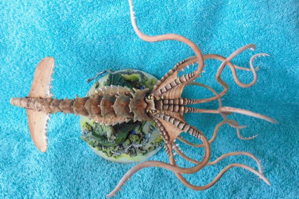 Кракен даркнет ссылка kraken link24 info