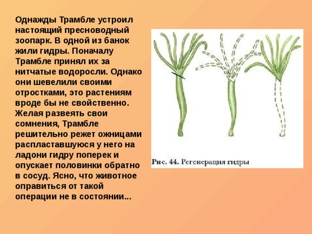 Кракен правила площадки
