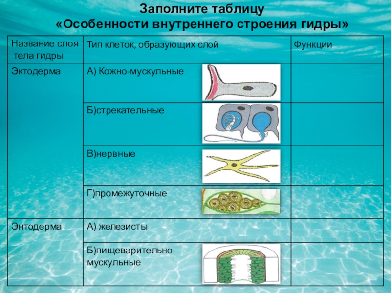 Как зайти на кракен с айфона